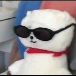 Meet your Posher, Miranda